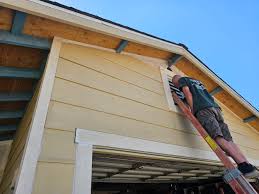 Best Siding Repair  in Wanamingo, MN